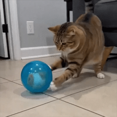 🔥💓LAST DAY 50% OFF ✨Orodira® Self-Rolling Interactive Cat Ball