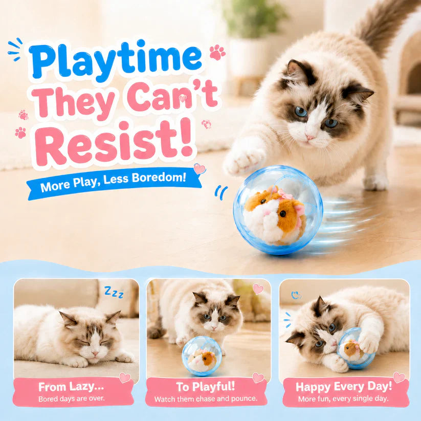 🔥💓LAST DAY 50% OFF ✨Orodira® Self-Rolling Interactive Cat Ball