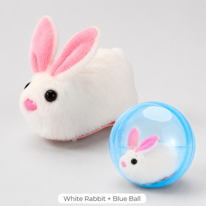 🔥💓LAST DAY 50% OFF ✨Orodira® Self-Rolling Interactive Cat Ball