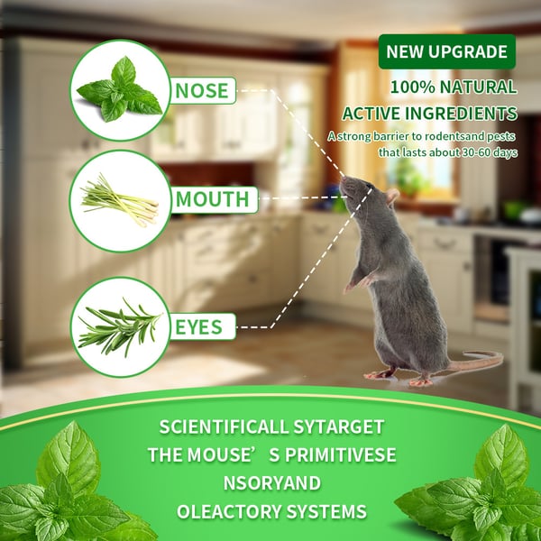 🐹LAST DAY 50% OFF🐹12 Pack Peppermint Pest Repellent Balls - Mice Rats Spiders Gone! ✅