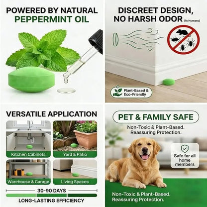 🐹LAST DAY 50% OFF🐹12 Pack Peppermint Pest Repellent Balls - Mice Rats Spiders Gone! ✅
