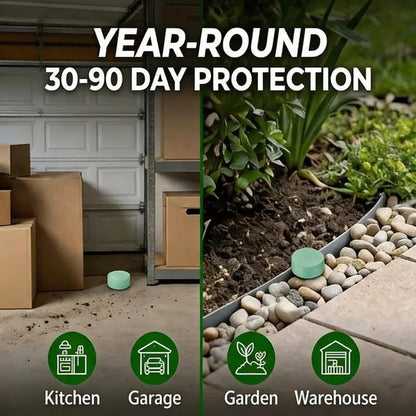 🐹LAST DAY 50% OFF🐹12 Pack Peppermint Pest Repellent Balls - Mice Rats Spiders Gone! ✅