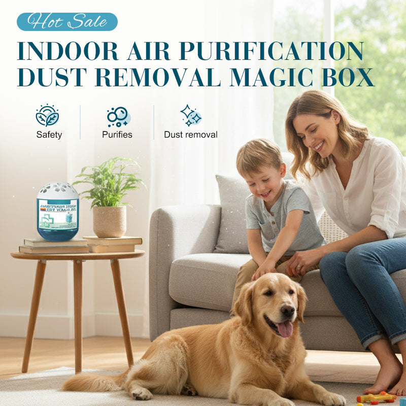 🔥Limited-Time Pre-Sale⏰Dlibryla® Indoor Air Purification Dust Removal Magic Box🏠🌿
