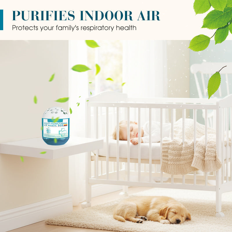 🔥Limited-Time Pre-Sale⏰Dlibryla® Indoor Air Purification Dust Removal Magic Box🏠🌿