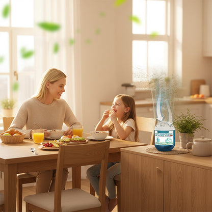 🔥Limited-Time Pre-Sale⏰Dlibryla® Indoor Air Purification Dust Removal Magic Box🏠🌿